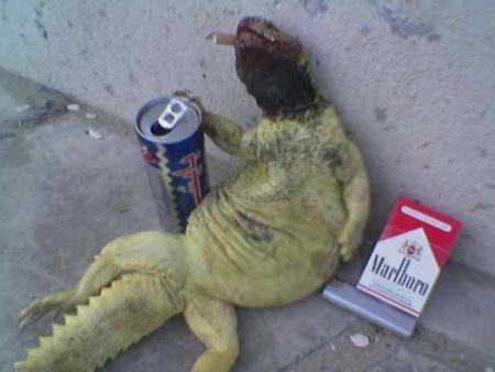 � viva la vit� loca